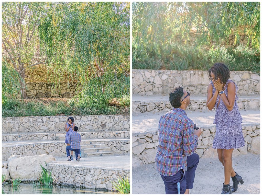 2 images - man proposing to girlfriend in Terra Mia Paso Robles California