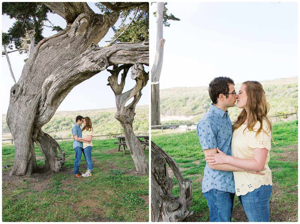 engaged couple kissing under large tree