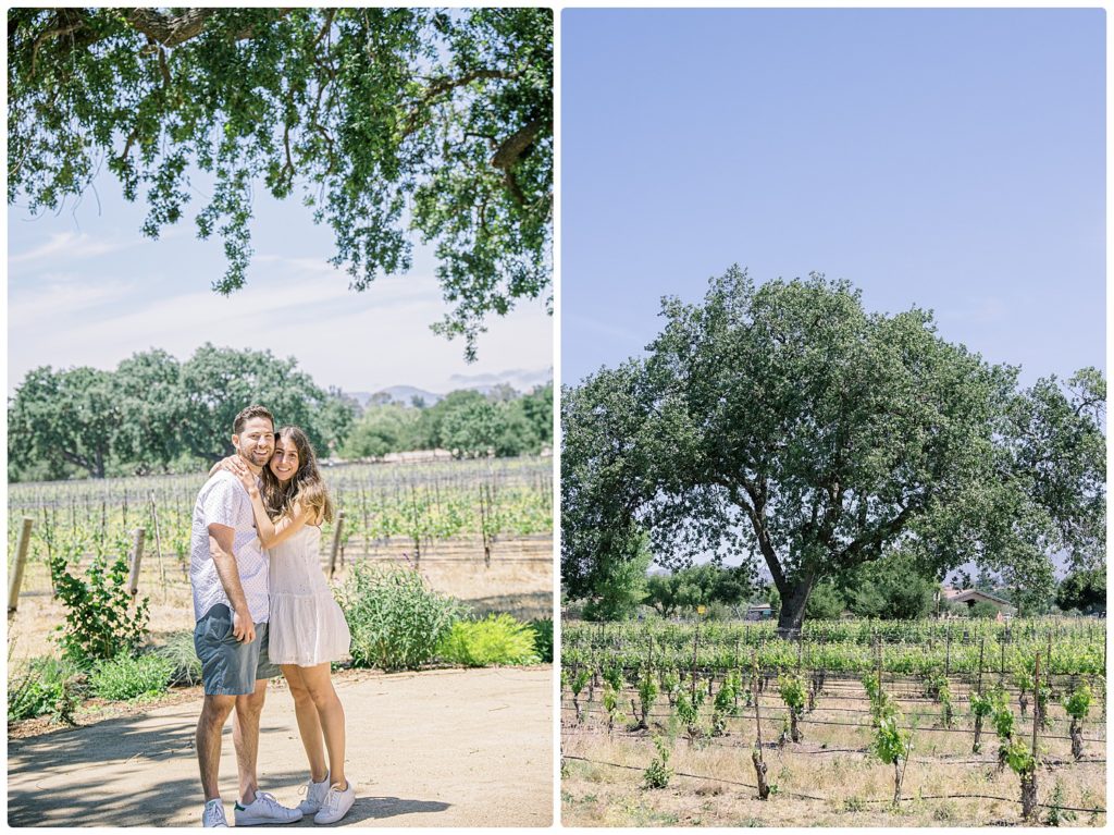 Newly proposed couple at Roblar Winery