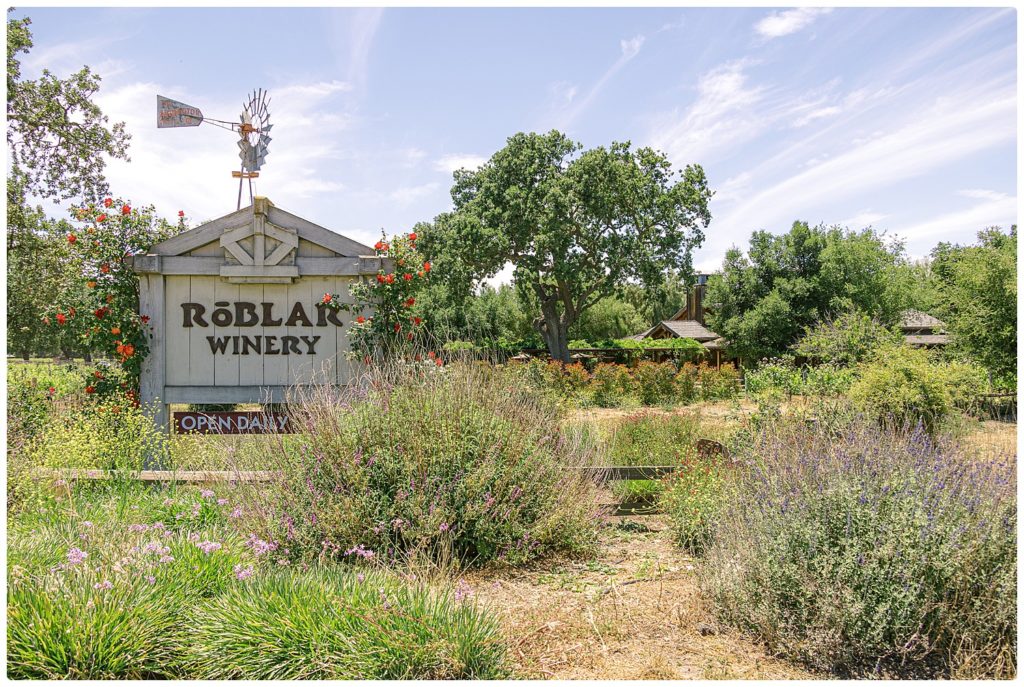 Roblar Winery sign and landscape