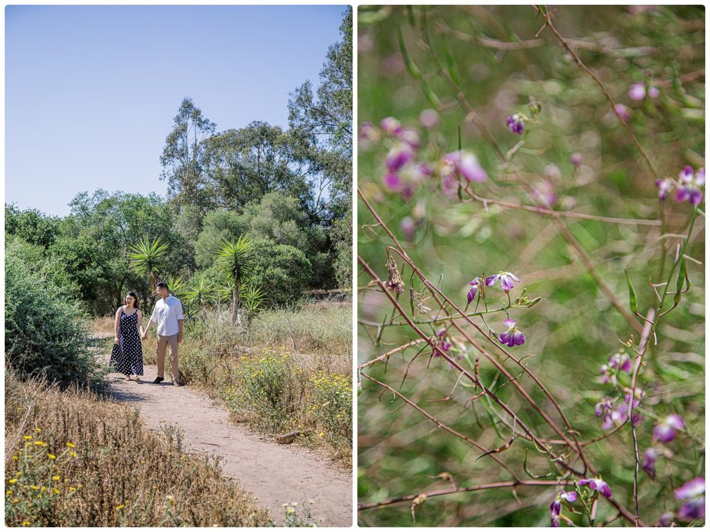 engagement photo of couple walking along a pathway and photo of a beach plant