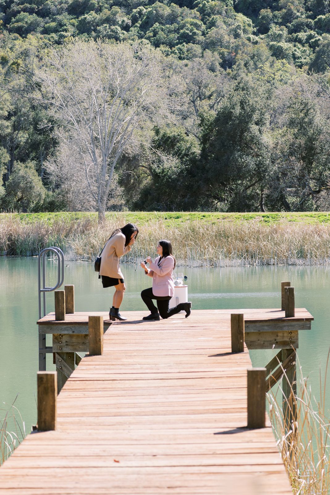 surprise proposal at pond